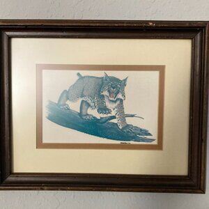 Vintage Gene Gray Wildcat Framed Print 1969